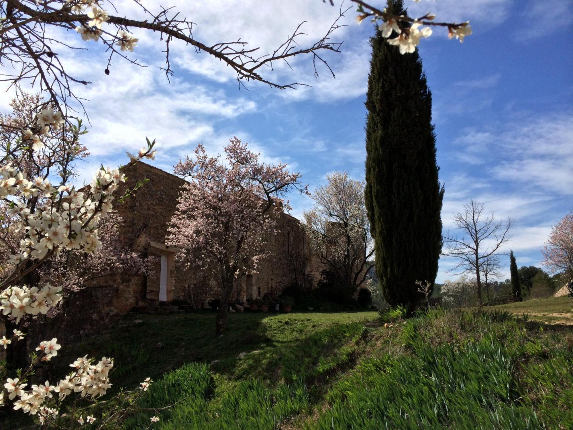 Maison A Aix En Provence Au Pied De La Sainte Victoire Beaurecueil Kültér fotó